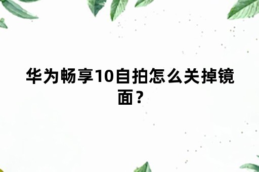 华为畅享10自拍怎么关掉镜面？