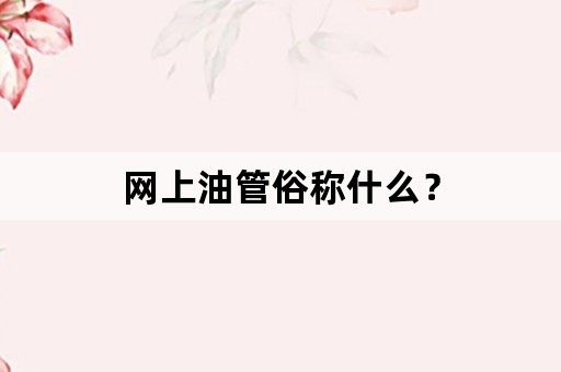 网上油管俗称什么？