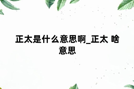 正太是什么意思啊_正太 啥意思