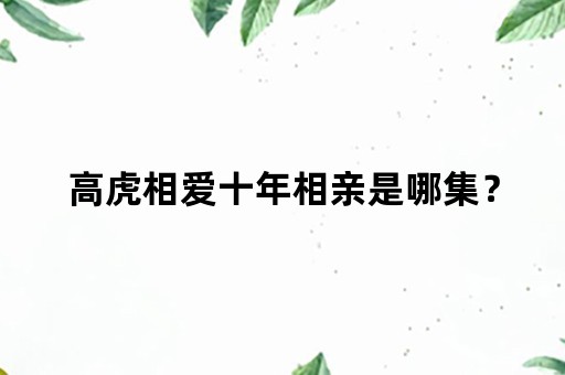 高虎相爱十年相亲是哪集？