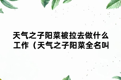 天气之子阳菜被拉去做什么工作（天气之子阳菜全名叫什么）