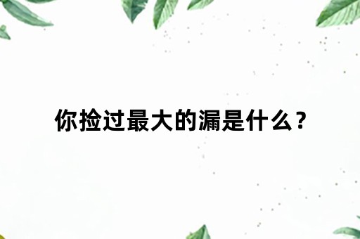 你捡过最大的漏是什么？