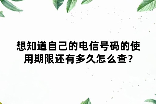 想知道自己的电信号码的使用期限还有多久怎么查？