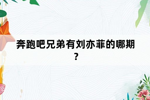 奔跑吧兄弟有刘亦菲的哪期？