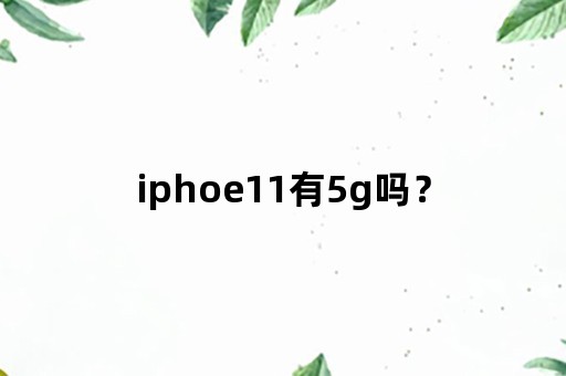 iphoe11有5g吗？