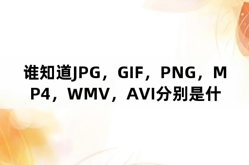 谁知道JPG，GIF，PNG，MP4，WMV，AVI分别是什么，可以给我解释下它们分别的特点吗？