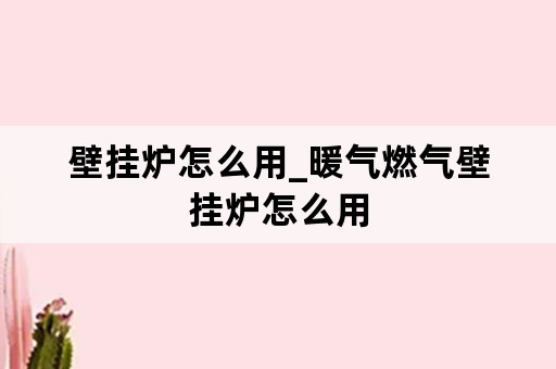 壁挂炉怎么用_暖气燃气壁挂炉怎么用