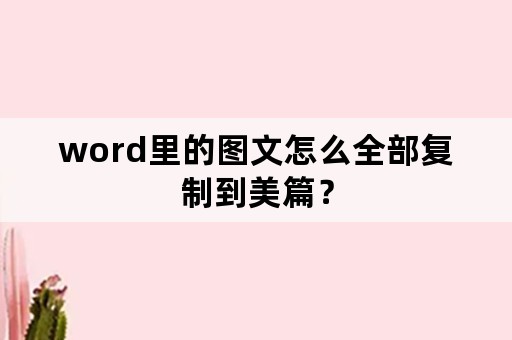 word里的图文怎么全部复制到美篇？