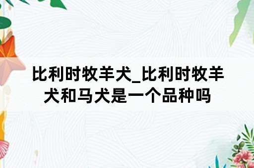 比利时牧羊犬_比利时牧羊犬和马犬是一个品种吗