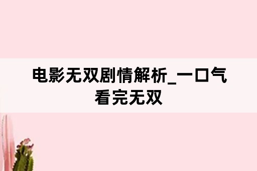 电影无双剧情解析_一口气看完无双