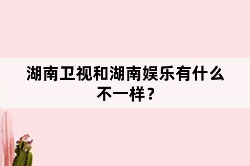 湖南卫视和湖南娱乐有什么不一样？