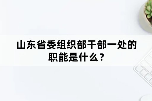 山东省委组织部干部一处的职能是什么？