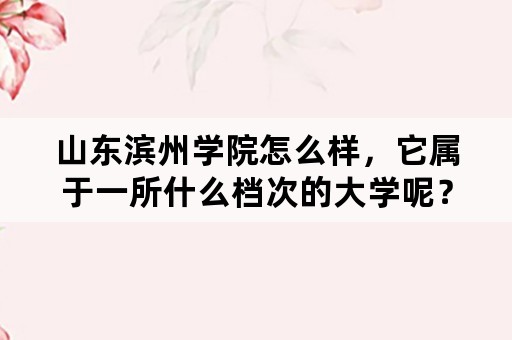 山东滨州学院怎么样，它属于一所什么档次的大学呢？