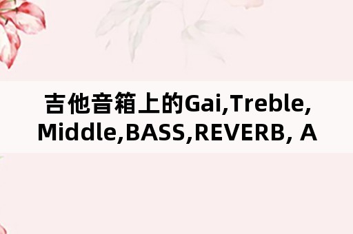 吉他音箱上的Gai,Treble,Middle,BASS,REVERB, AUX IN是什么意思？