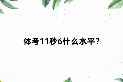 体考11秒6什么水平？