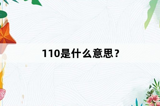 110是什么意思？