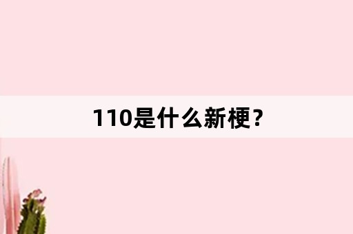 110是什么新梗？