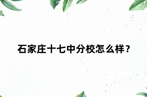 石家庄十七中分校怎么样？