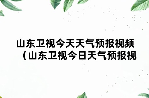 山东卫视今天天气预报视频（山东卫视今日天气预报视频）