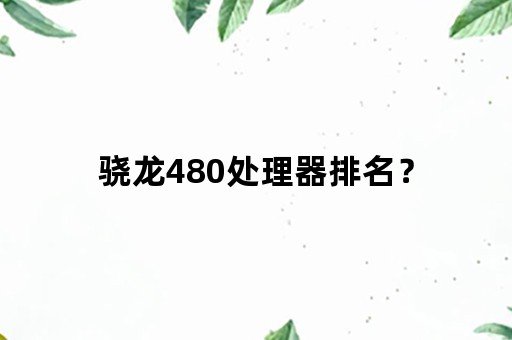 骁龙480处理器排名？