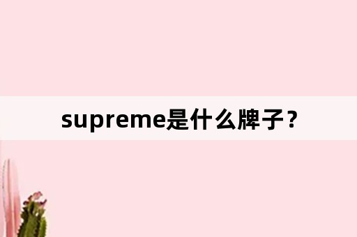 supreme是什么牌子？