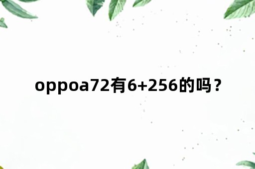 oppoa72有6+256的吗？