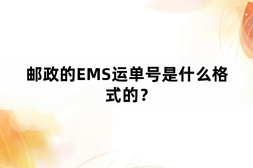 邮政的EMS运单号是什么格式的？