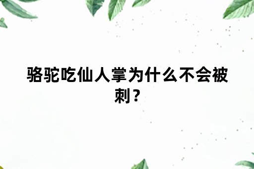 骆驼吃仙人掌为什么不会被刺？