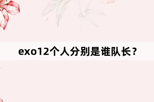 exo12个人分别是谁队长？