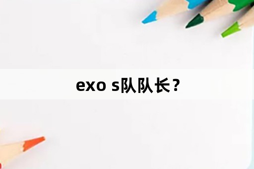 exo s队队长？