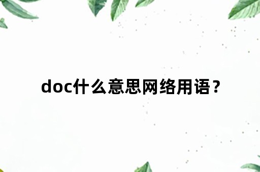 doc什么意思网络用语？