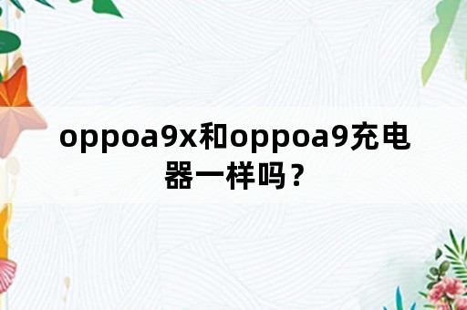 oppoa9x和oppoa9充电器一样吗？