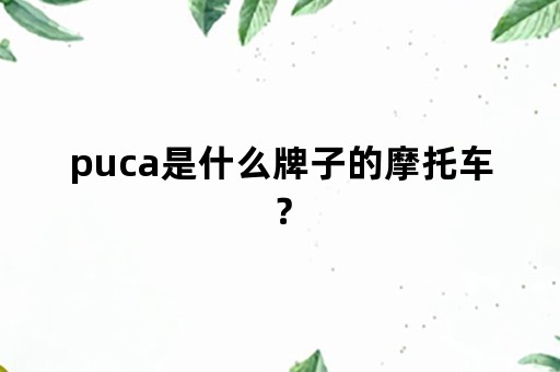 puca是什么牌子的摩托车？