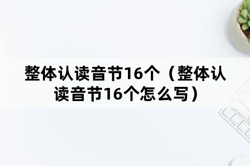 整体认读音节16个（整体认读音节16个怎么写）