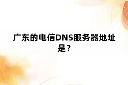 广东的电信DNS服务器地址是？