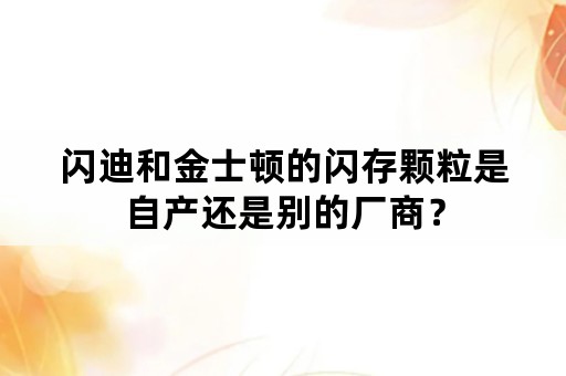 闪迪和金士顿的闪存颗粒是自产还是别的厂商？