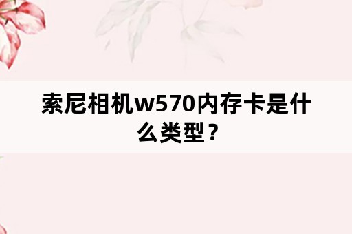 索尼相机w570内存卡是什么类型？