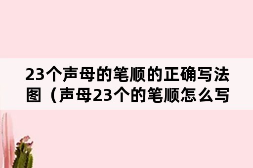 23个声母的笔顺的正确写法图（声母23个的笔顺怎么写）