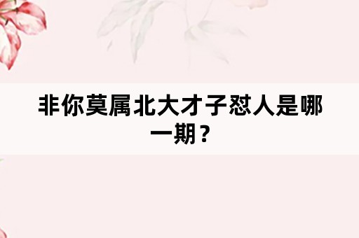 非你莫属北大才子怼人是哪一期？