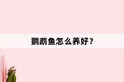 鹦鹉鱼怎么养好？