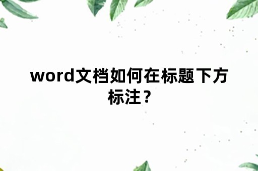 word文档如何在标题下方标注？