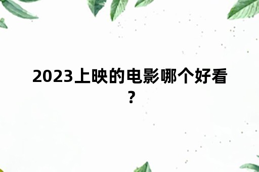 2023上映的电影哪个好看？