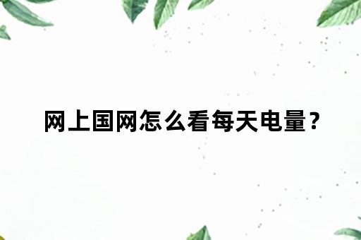 网上国网怎么看每天电量？