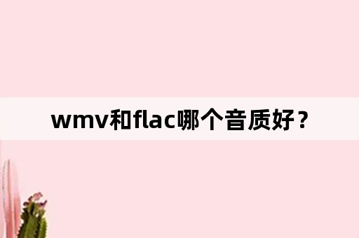 wmv和flac哪个音质好？