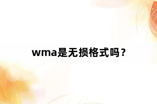 wma是无损格式吗？