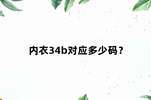 内衣34b对应多少码？