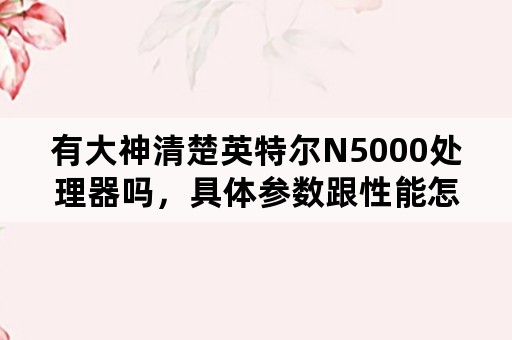 有大神清楚英特尔N5000处理器吗，具体参数跟性能怎么样？