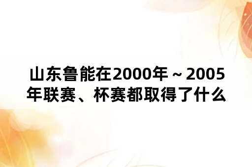 山东鲁能在2000年～2005年联赛、杯赛都取得了什么成绩？