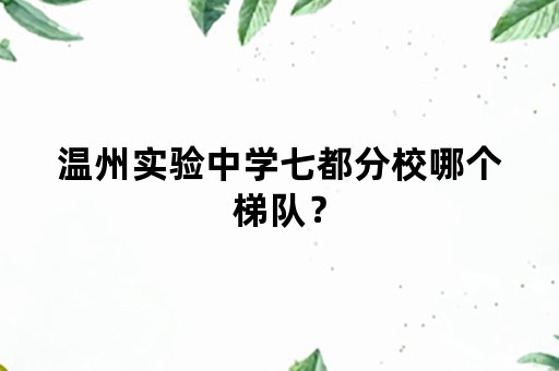 温州实验中学七都分校哪个梯队？