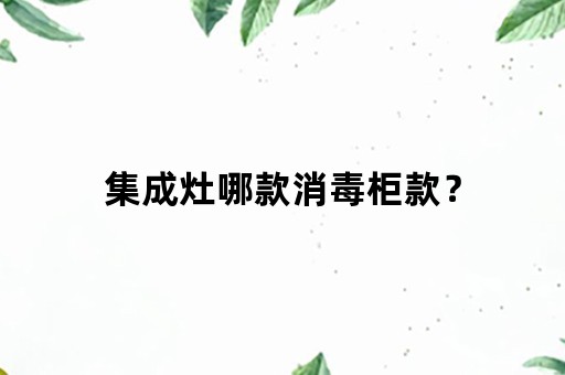 集成灶哪款消毒柜款？